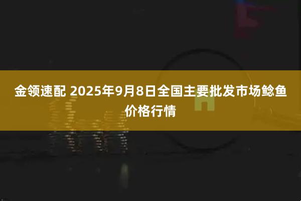 金领速配 2025年9月8日全国主要批发市场鲶鱼价格行情