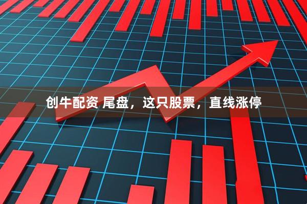 创牛配资 尾盘，这只股票，直线涨停