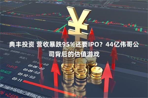 典丰投资 营收暴跌95%还要IPO？44亿伟哥公司背后的估值游戏